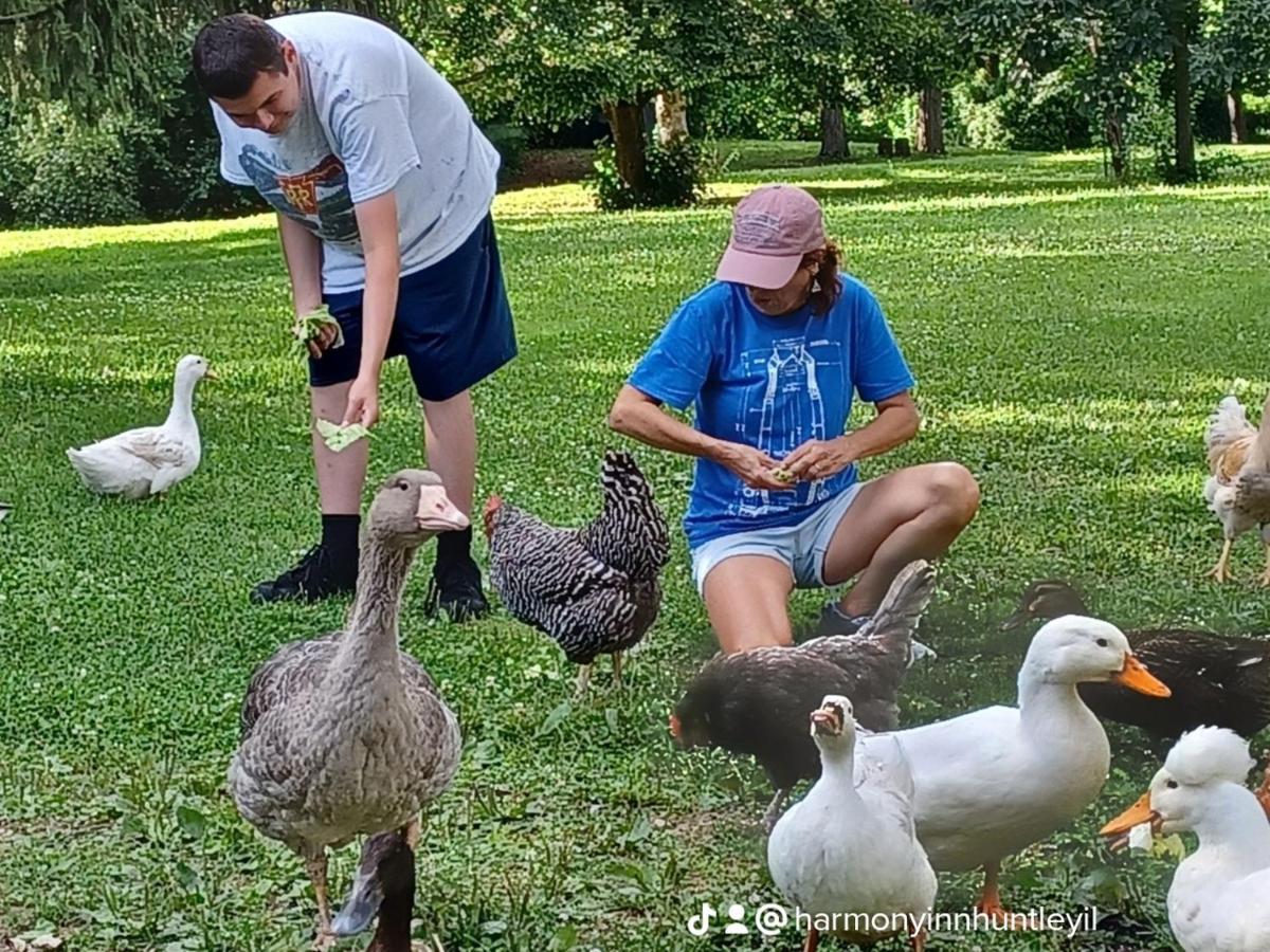 Harmony Inn, Huntley Illinois Zewnętrze zdjęcie